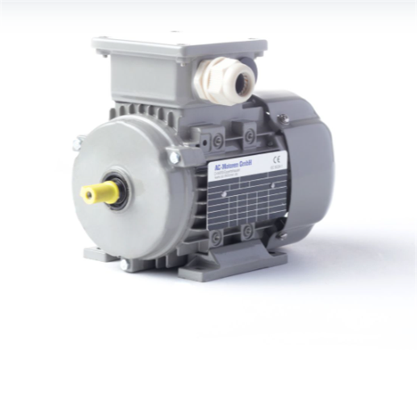 德國AC MOTOREN防火防爆電機E3-ASA 132 M 4